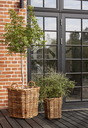 90090000-CALAIS-BASKET-SQUARE_R3.webp