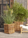 90100000-CALAIS-BASKET-SQUARE_R1.webp