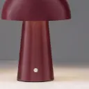 andle bordo1.webp