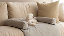 vilmers%2FPRODUCT_PHOTOS%2F1_SOFT_FURNITURE%2F1_8_PET_BEDS%2FINTERIOR_PHOTOS%2FPet_beds%2FPet_beds_%C2%A9Vilmers.webp